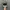 vans sk 8 low black white photo 4