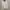 New Era Sweater size XL photo 1