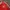 LONG JERSEY LIVERPOOL photo 5