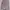 Baju atasan warna Pink Pastel photo 1