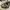 MERRELL Moab Ventilator Leather Lace Up Walnut Brown