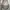 Shoulder Bag Guess
