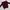 KNIT OFF SHOULDER TOP MAROON photo 1