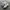 NEW BALANCE 530 FULL WHITE  photo 1