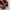 PUMA SPEEDCAT MAROON  photo 5