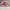 Original Bimba Y Lola Satchel Bags photo 4
