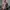 WHO AU California Knit Sweater Brown Christmas Vintage Look  photo 2