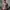 WHO AU California Knit Sweater Brown Christmas Vintage Look 
