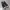 Converse Y2K Casual Sneakers Pria white brown black photo 3