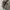Vintage Lyle & Scott Harrington Suede Jacket photo 2
