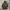 Sisley M65 Fishtail Parka