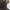 Obey x Napapijri Skidoo DON'T JUST WATCH IT BURN  photo 7