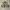 Orvis Super Tac-L-Pac tactical fly fishing vest photo 2