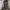 COAT JACKET CAMOFLAGE VETEMENTS POLIZEI