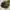La Sportiva Xplorer Approach Shoes Grey/Green photo 3