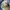 Vintage Big John Sherpa Lined Denim Jacket photo 10