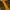 Topi Vintage NAPA Racing Fullmesh Louisville  photo 5