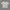 Polo shirt yves saint laurent ysl photo 1