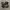 NIKE AIRMAX TN PLUS PREM REFLECTIVE photo 2