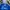 Gorpcore Minimalist Jersey Pria blue photo 3