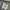 Knu skool Triple White photo 2