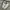 Knu skool Triple White photo 1