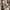 Genuine leather jacket ( boxy cut ) photo 5