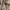 Genuine leather jacket ( boxy cut ) photo 6