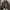 Genuine Leather Jacket ( Boxy Cut )