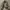 Genuine leather jacket ( boxy cut ) photo 9