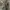 Genuine leather jacket ( boxy cut ) photo 4