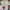 atasan crop lengan balon bordir premi (-)apa adanya photo 1