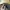 Dickies authentic brand crewneck sweater sweatshirt olive photo 2