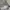 Streetwear Casual Sweatshirt Pria gray photo 4