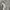 Streetwear Casual Sweatshirt Pria gray photo 3