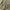 Bean Pole Jacket photo 7