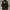 JACKET COAT PARKA PARENTAL ADVISORY BNWT photo 1