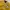 Varsity University Yellow photo 5