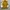 Varsity University Yellow photo 4