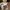 Teddy bears doll photo 1