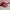 Converse CTAS hi red photo 1
