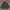 Jacket m65 semi parka tiny green photo 1