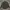 Jacket m65 semi parka tiny green photo 2