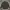 Jacket M65 Semi Parka Tiny Green