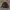 Jacket m65 semi parka tiny green photo 3