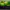 Nike Kobe 6 Grinch Protro (2020) photo 1