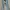 Celana Jeans Flare High Waist – Warna Light Blue