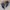 RS TAICHI RS006 DryMaster BOA Riding shoes "Urban Camo" photo 6