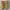 TIMBERLAND Euro Rock Mid Hikers Boots Suede photo 3