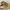 TIMBERLAND Euro Rock Mid Hikers Boots Suede photo 2